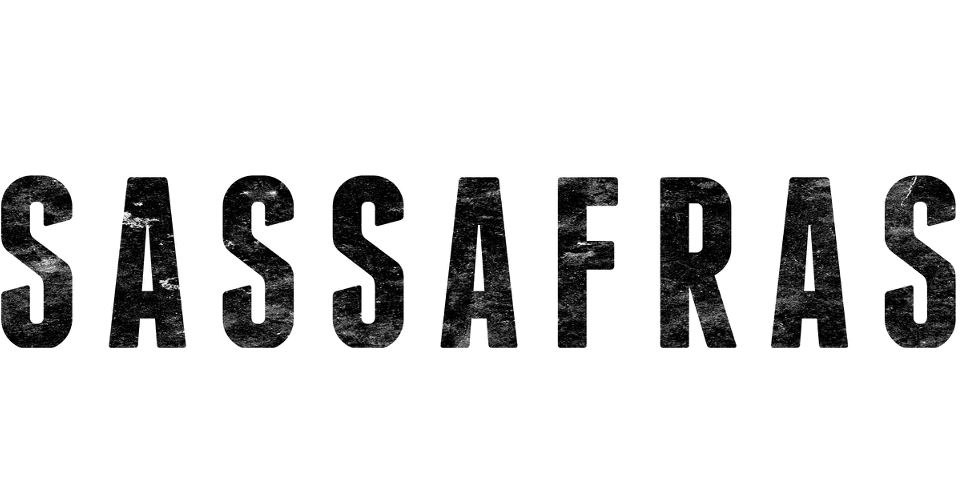 Sassafras - Online Shopping for Latest Women Fashion at Best Price