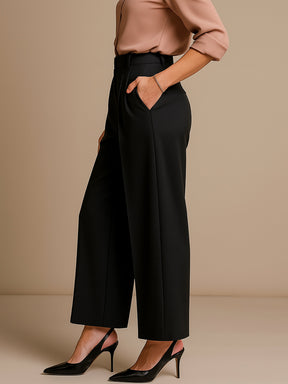 Black High-Rise Front Pleated Korean Pants-SASSAFRAS worklyf