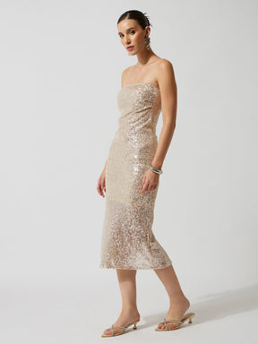 Silver Sequence Bodycon Tube Midi Dress-SASSAFRAS