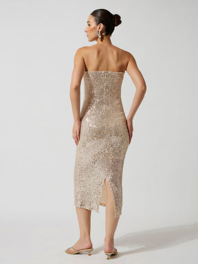 Silver Sequence Bodycon Tube Midi Dress-SASSAFRAS