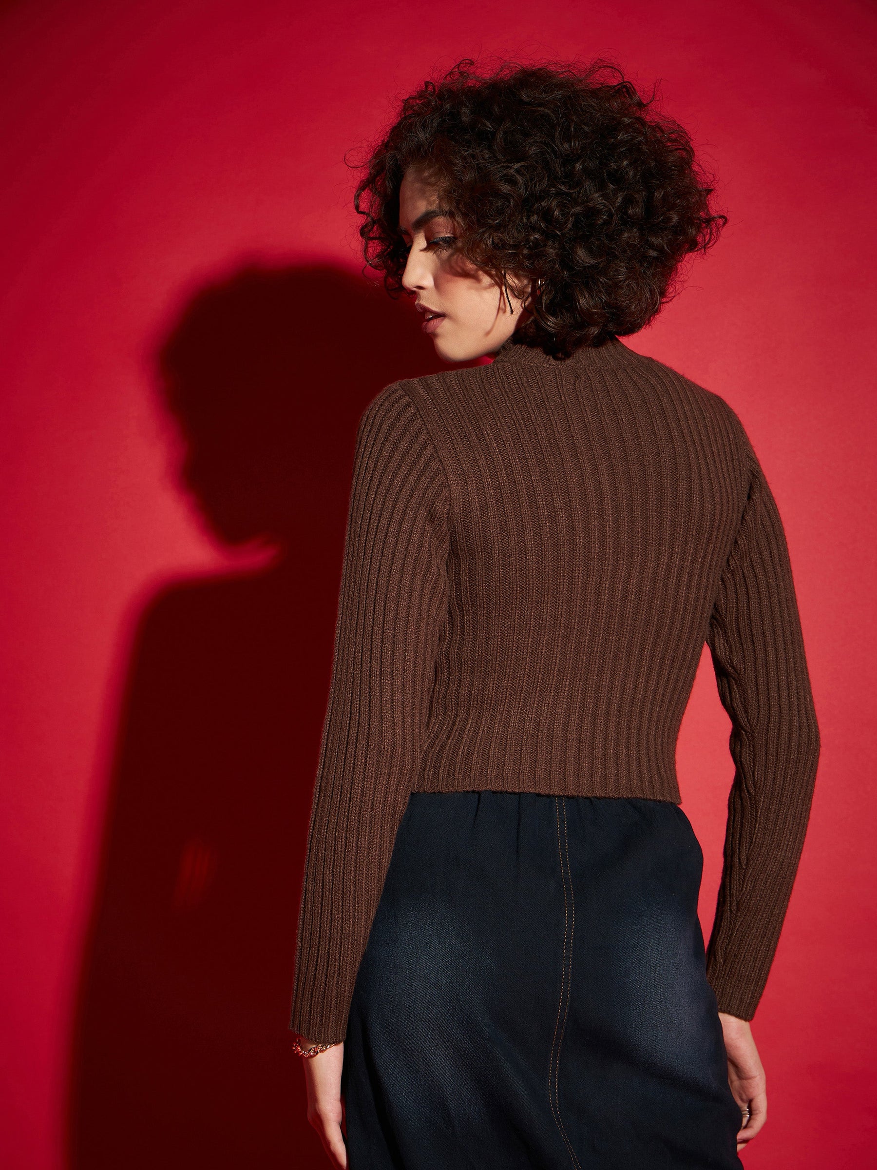 Brown Rib High Neck Full Sleeves Sweater-SASSAFRAS