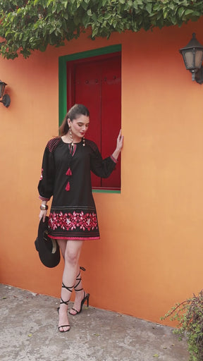 Women Black Poplin Embroidered A-Line Short Dress